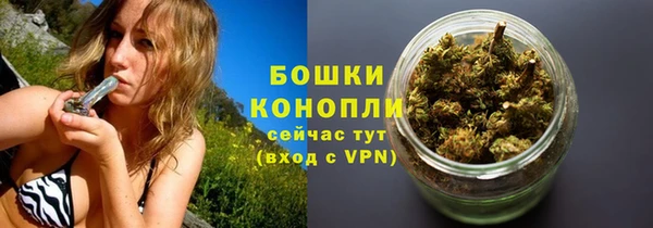 прущие грибы Нефтегорск