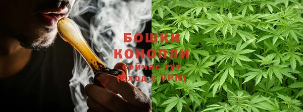 ГАЛЛЮЦИНОГЕННЫЕ ГРИБЫ Нефтекумск