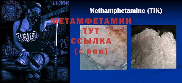 прущие грибы Нефтегорск