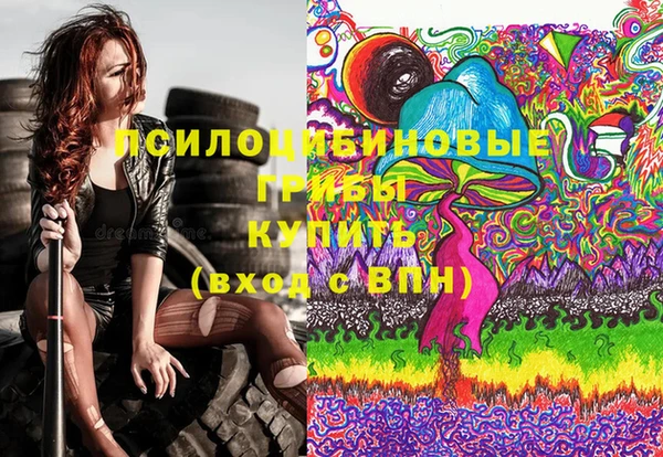 ГАЛЛЮЦИНОГЕННЫЕ ГРИБЫ Нефтекумск