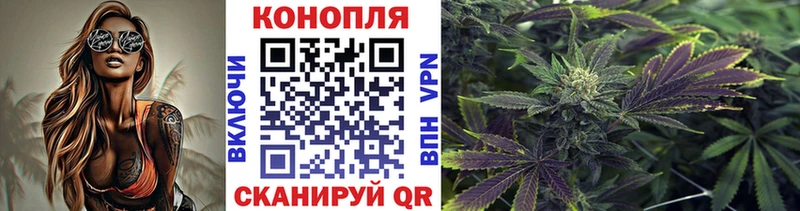 гидра сайт  дарнет шоп  Трубчевск  Шишки марихуана OG Kush 